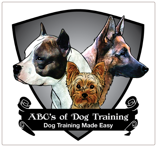 dog training queens, dog training ny, dog training brooklyn, dog training bronx, dog training manhattan